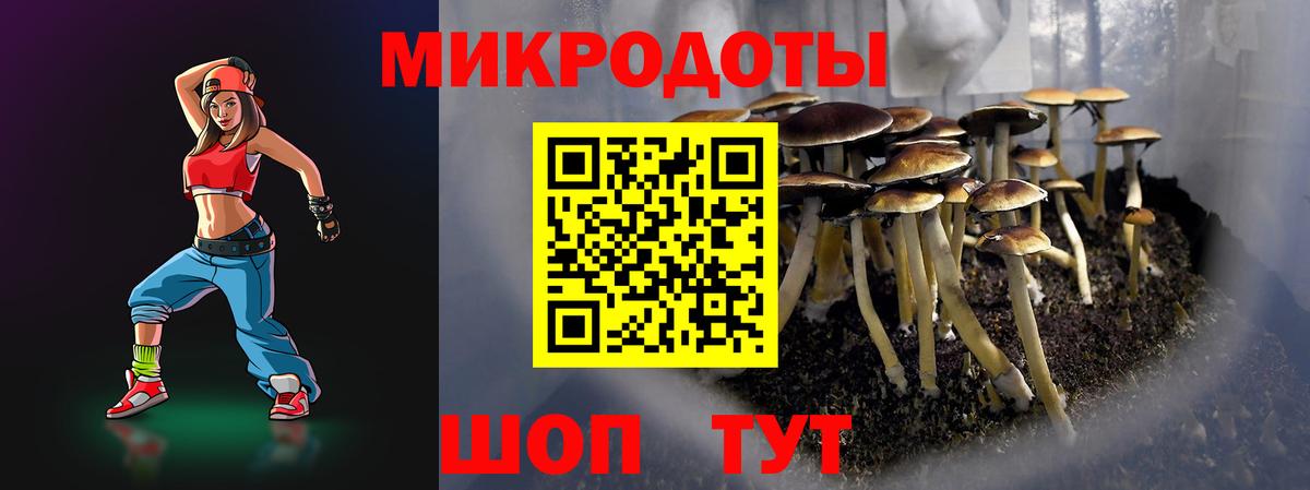 Новотроицк  Галлюциногенные грибы Psilocybe  Галлюциногенные грибы ЛСД  Вход с VPN 